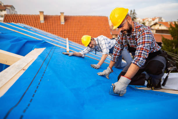 Best Roof Leak Repair  in White Cloud, MI