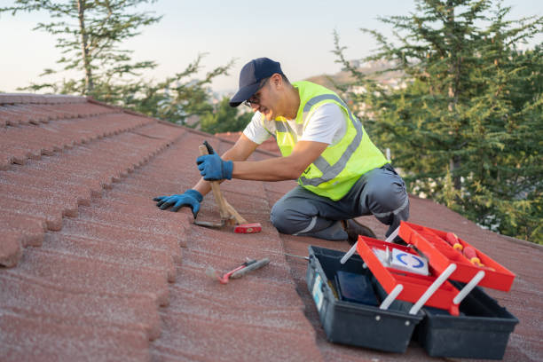Best Roofing Contractors for Homes  in White Cloud, MI