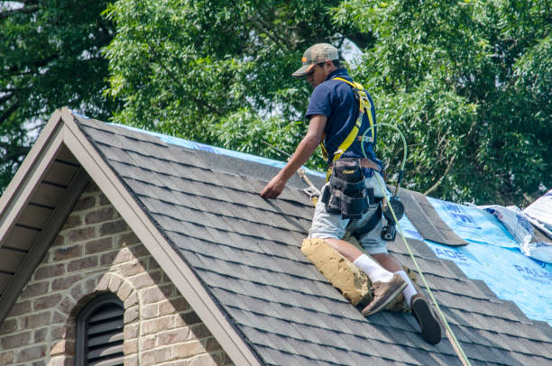 Best Roofing Contractor Near Me  in White Cloud, MI