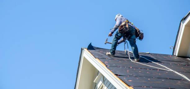 Best Roof Gutter Cleaning  in White Cloud, MI